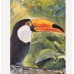 “Toucan – Exotic Bird” — Original Oil Painting by Marina Stognieva